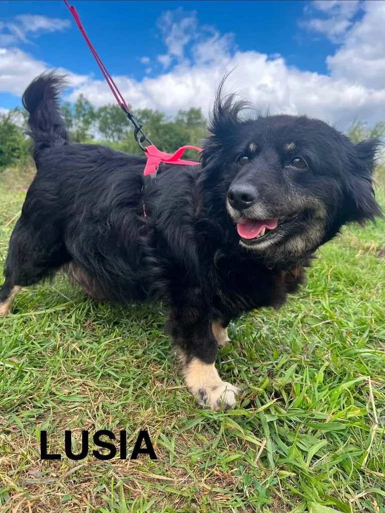 Lusia