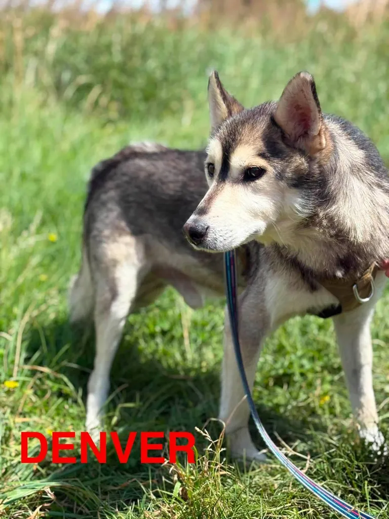 Denver